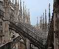 IMG_1305_.JPG