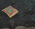 IMG_5262_.JPG